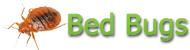 Bed Bugs - Pest Authority Inc